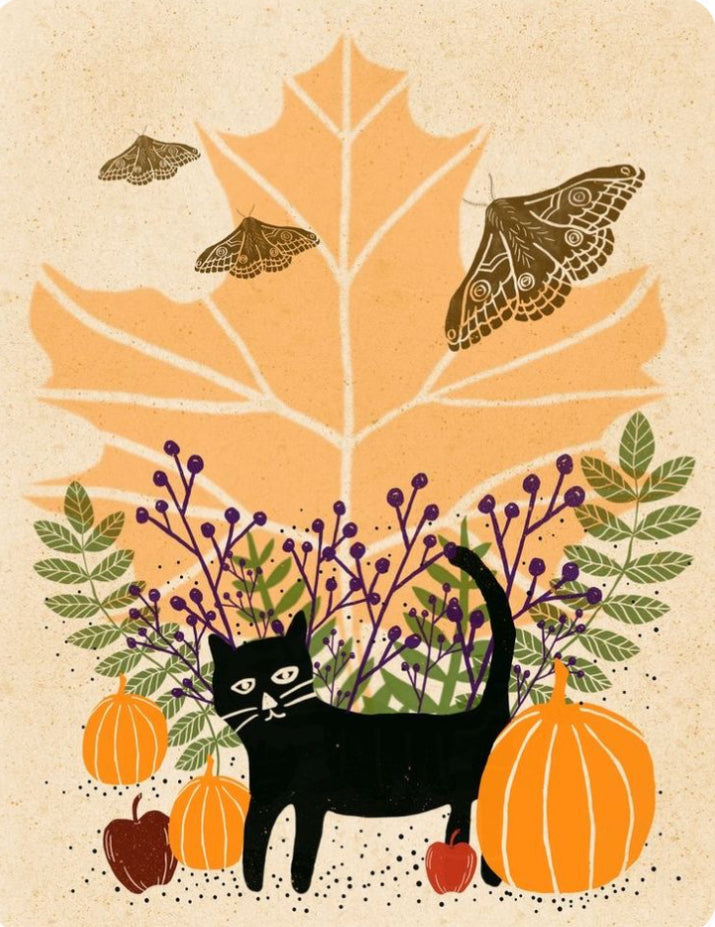 Witches Garden - Halloween Sock Kit