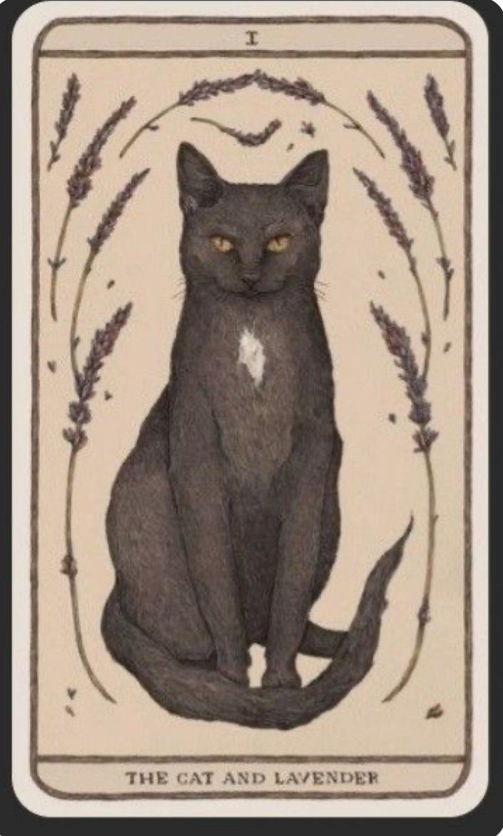 Other-worldly - Halloween Sock Kit