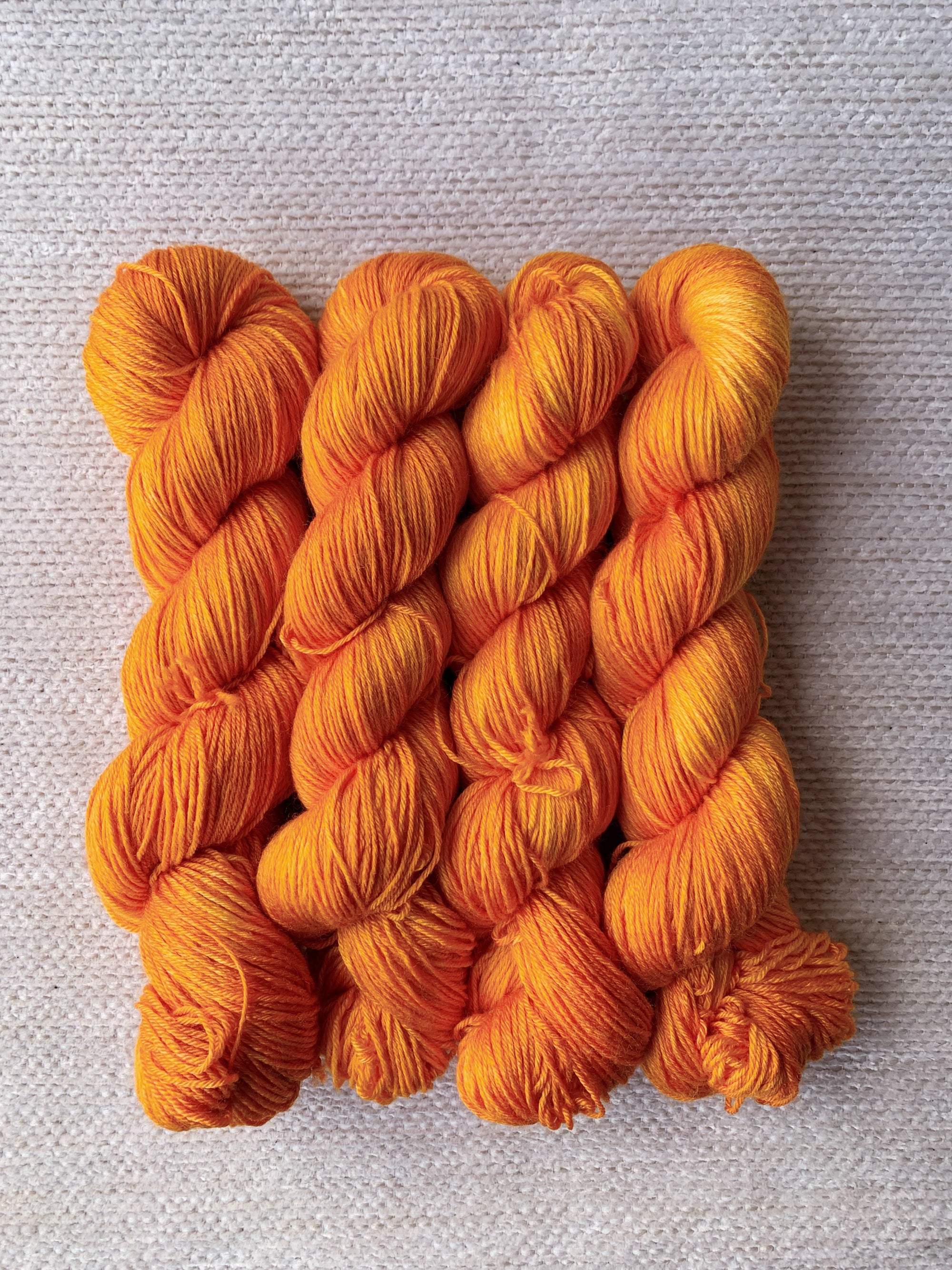 Persimmon - Daintree