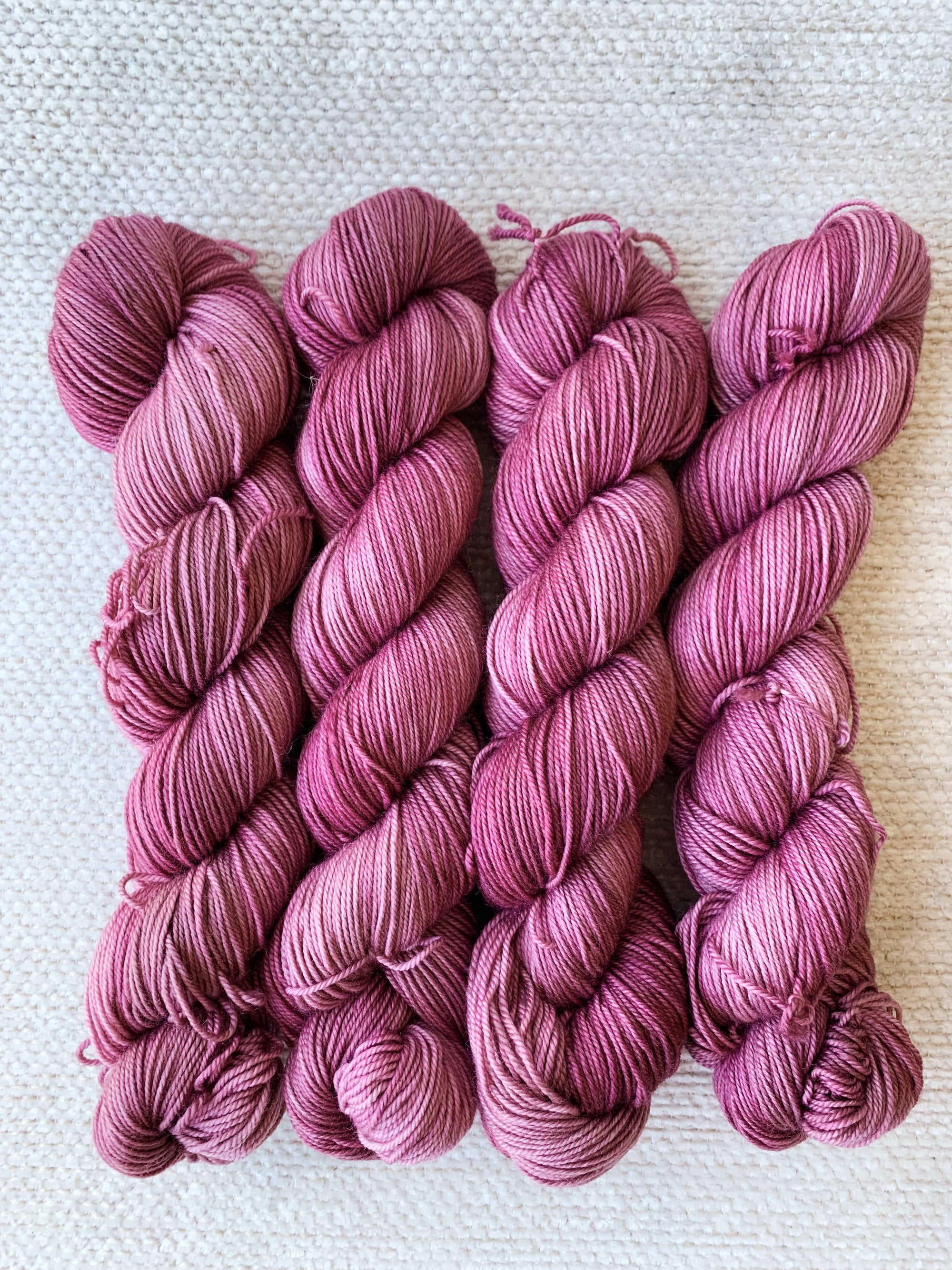 Cocoa Bean - Sportlicious