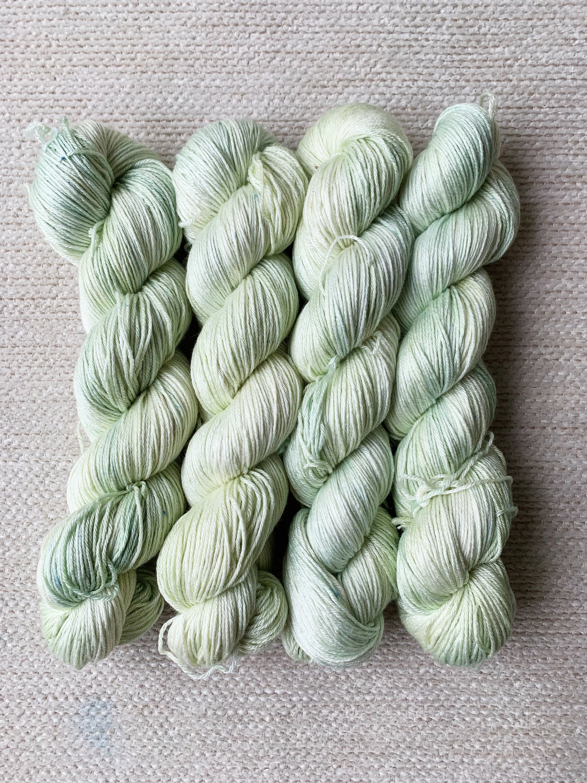 アスター - シルキーソックス