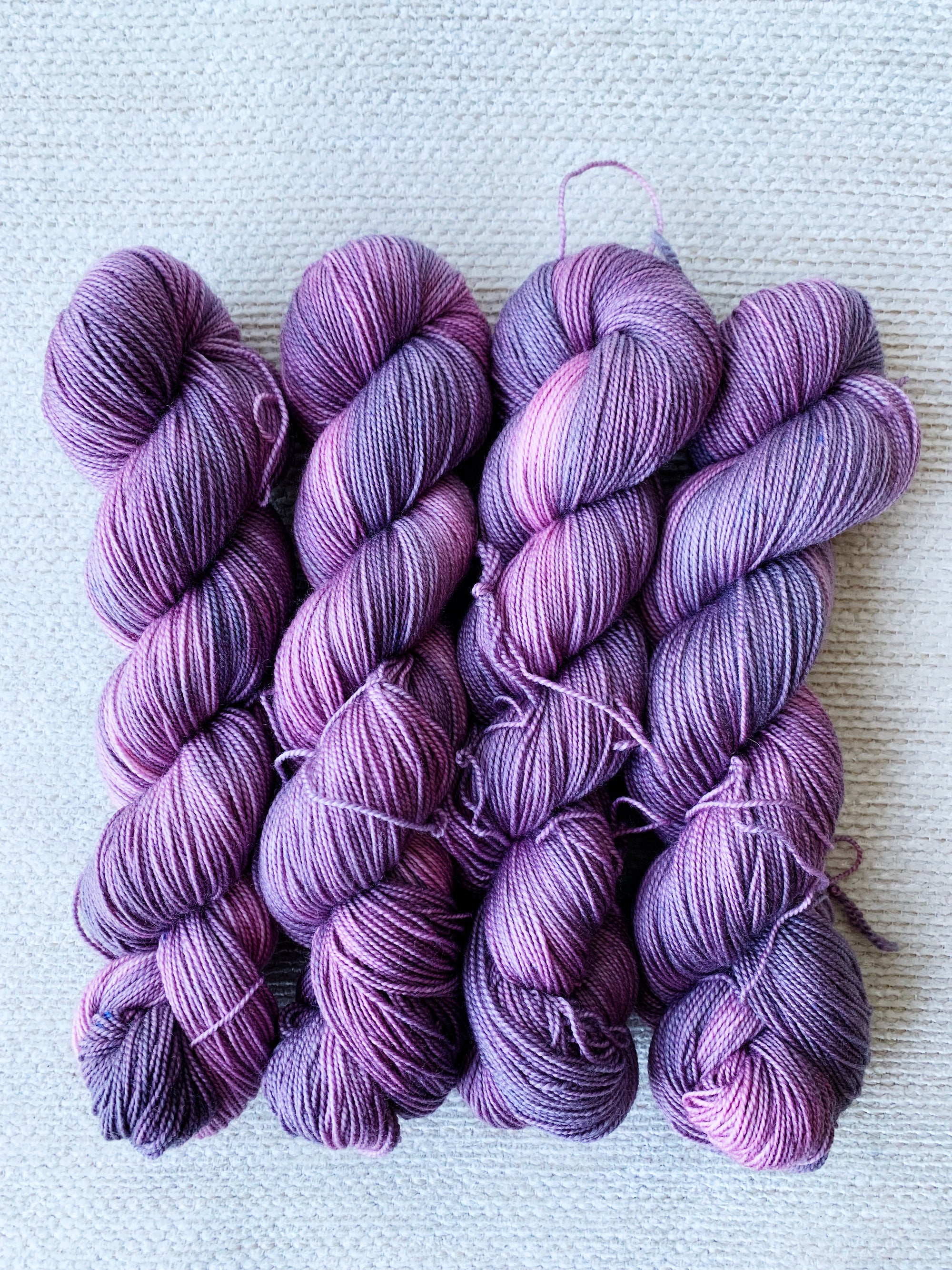 アスター - シルキーソックス