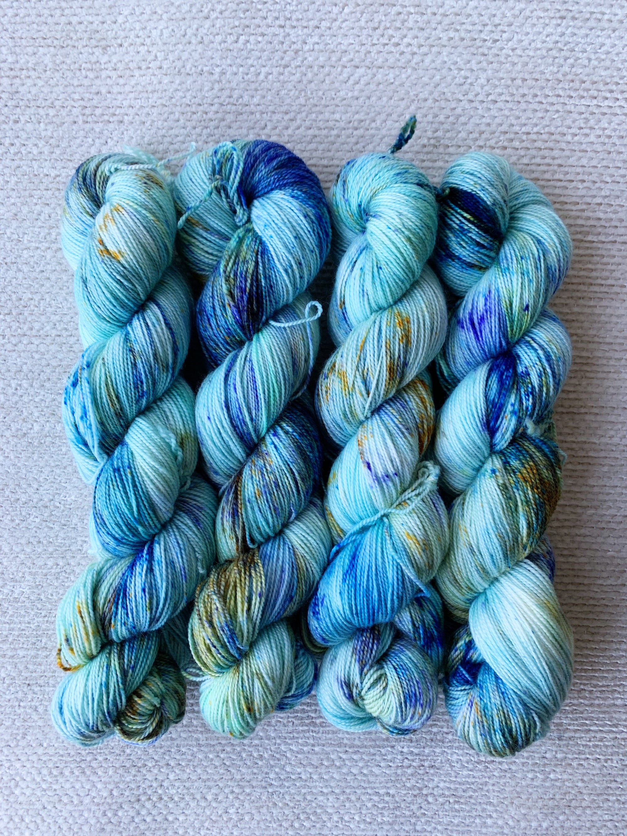 アスター - シルキーソックス