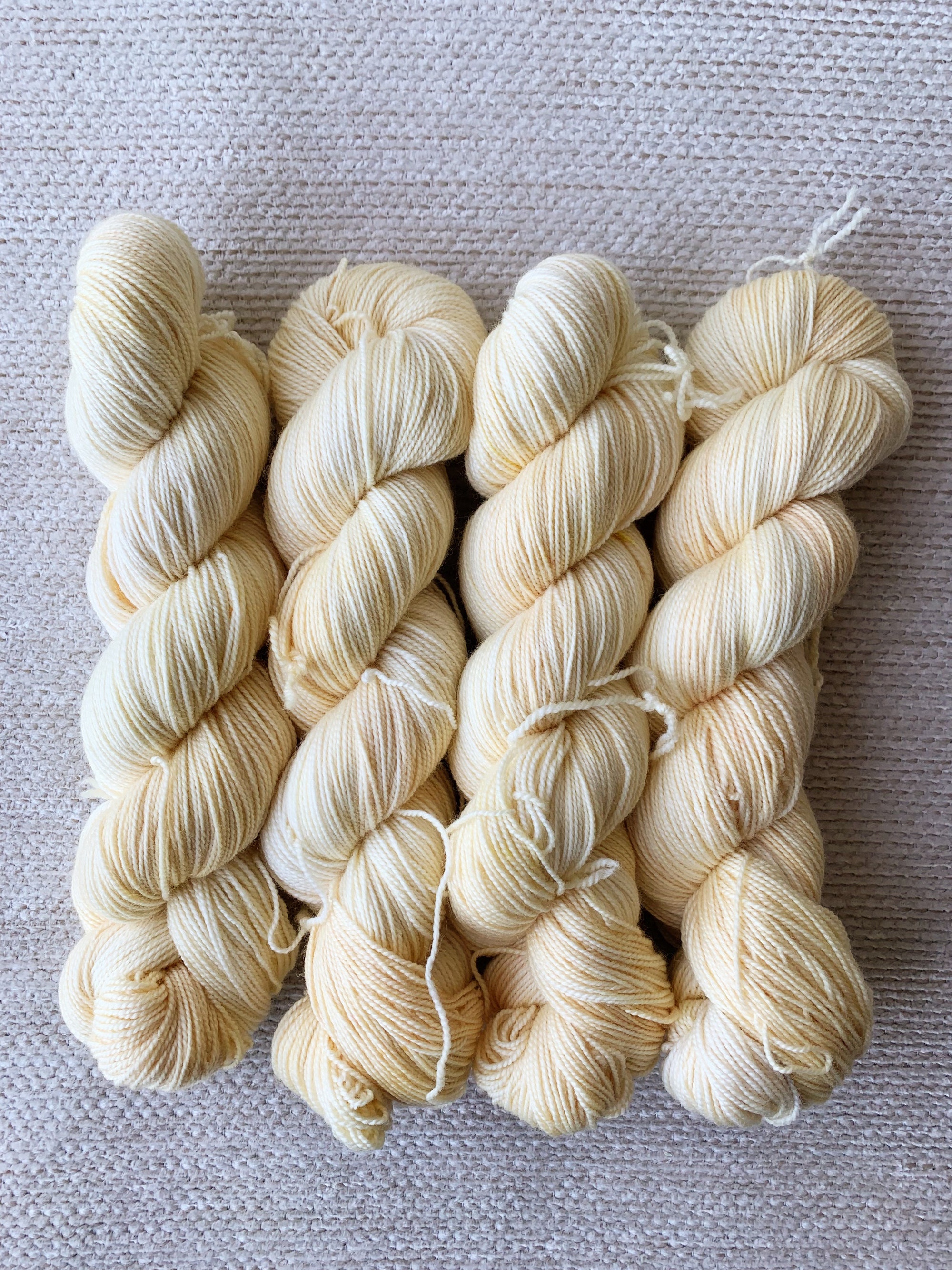 アスター - シルキーソックス