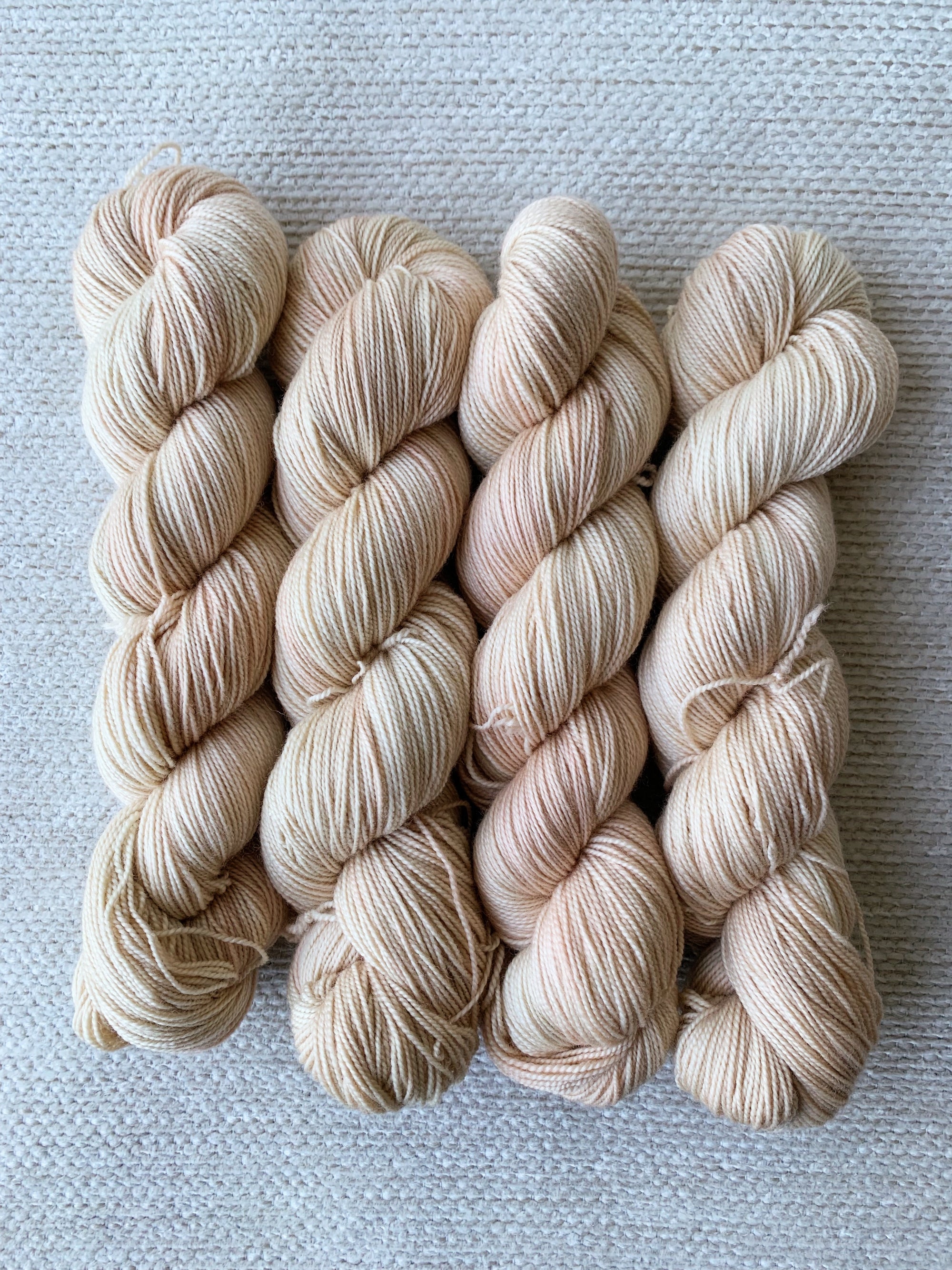 アスター - シルキーソックス